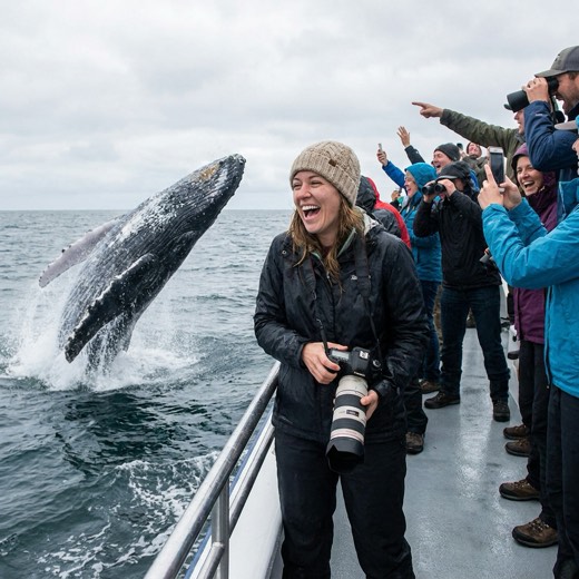 Guests cheering a breaching humpback